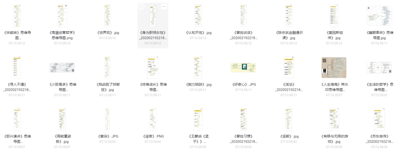 樊登读书思维导图 100 张